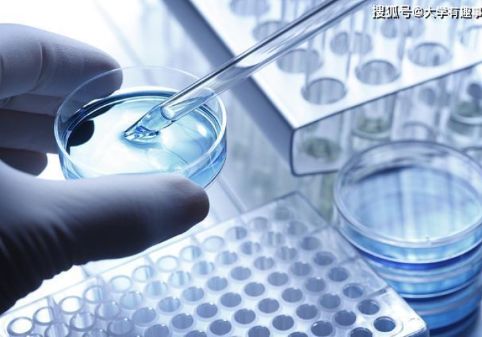 开挂辅助工具“wepoker辅助作弊透视挂教程(辅助神器)”详细开挂教程