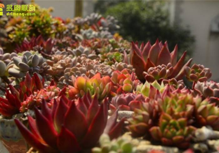 科普一下wepoKer开挂透视方法+透视挂”开挂辅助教程