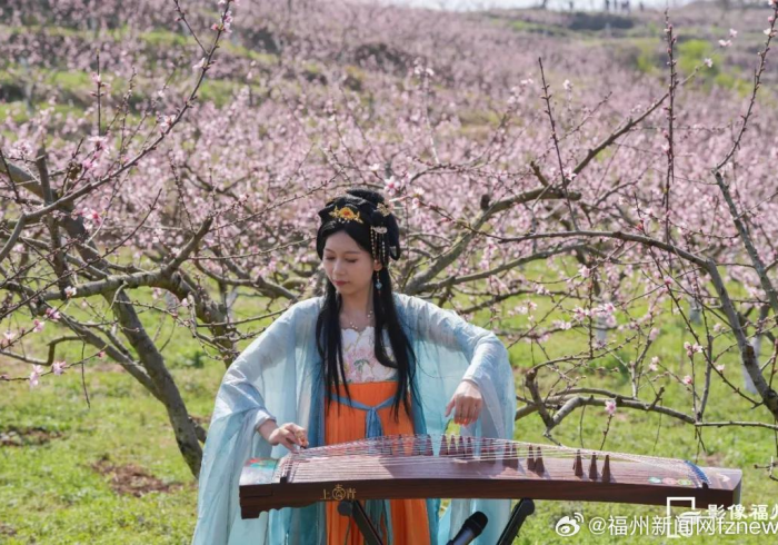 必备辅助“智星德州能作弊吗+透视挂”开挂辅助软件教程