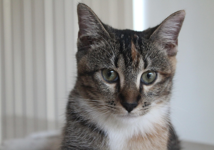 必看教程“微乐宁夏捉老麻子到底有没有挂(透视)详细教程