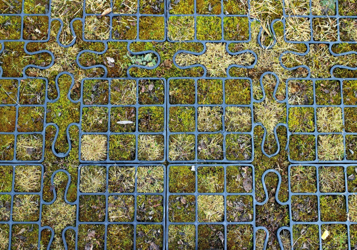 科普|手机棋牌万能透视看牌器(透视)详细教程