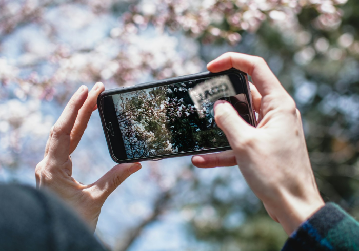 必备教程“手机四川麻将万能开挂神器(透视)”其实确实有挂 必备教程“手机四川麻将万能开挂神器(透视)”其实确实有挂